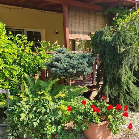 קלודז'קו Apartament Malinowa Dolina מראה חיצוני תמונה