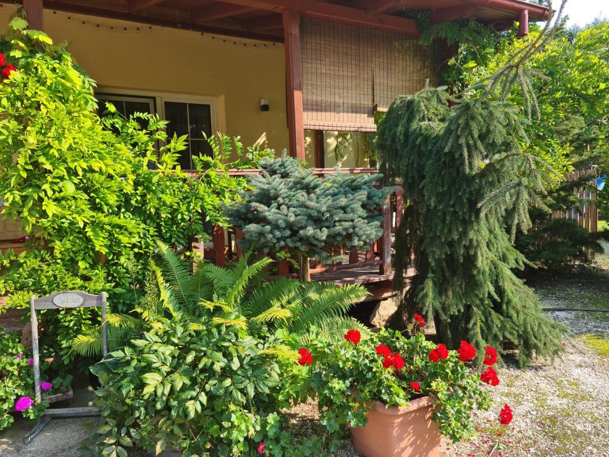 קלודז'קו Apartament Malinowa Dolina מראה חיצוני תמונה
