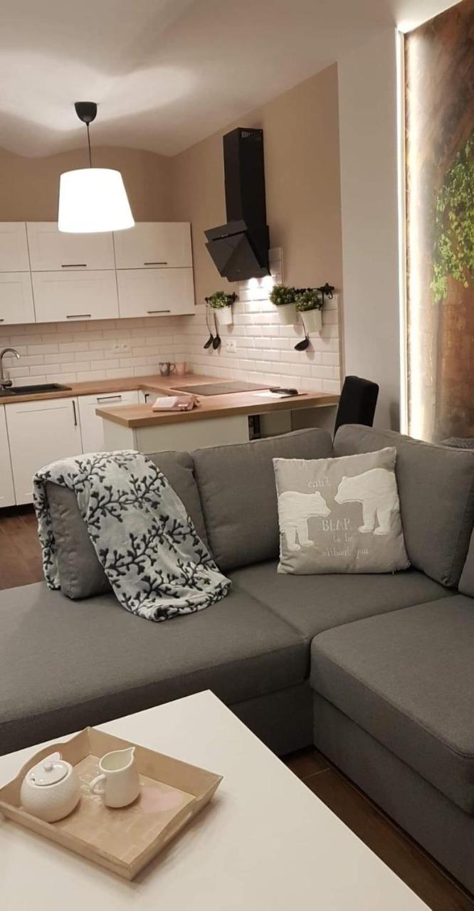 קלודז'קו Apartament Malinowa Dolina מראה חיצוני תמונה