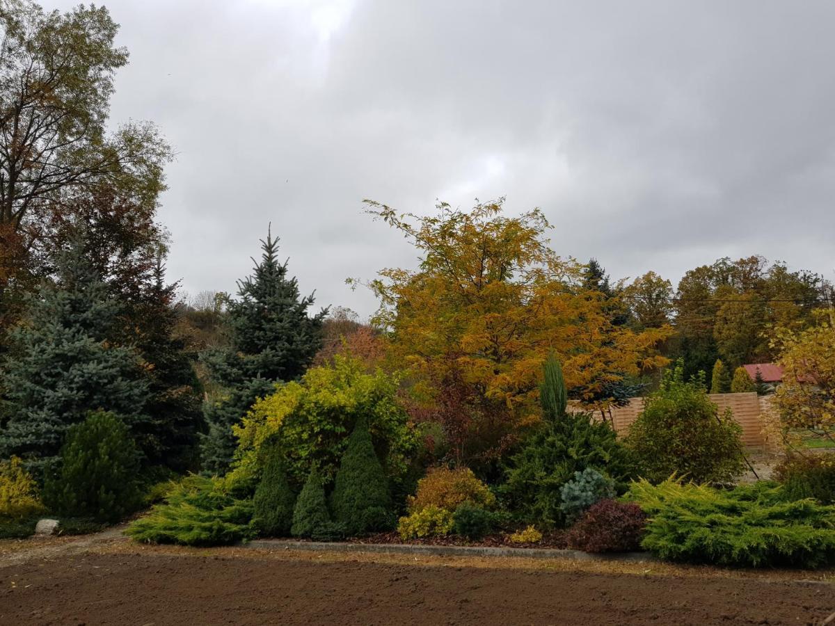 קלודז'קו Apartament Malinowa Dolina מראה חיצוני תמונה
